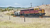 44 Class Austerity Mk1 INDIAN RED  (no red lining) Un-numbered comes with decal sheet painted INDIAN RED, NSWGR LOCOMOTIVE GOPHER MODELS N Scale.