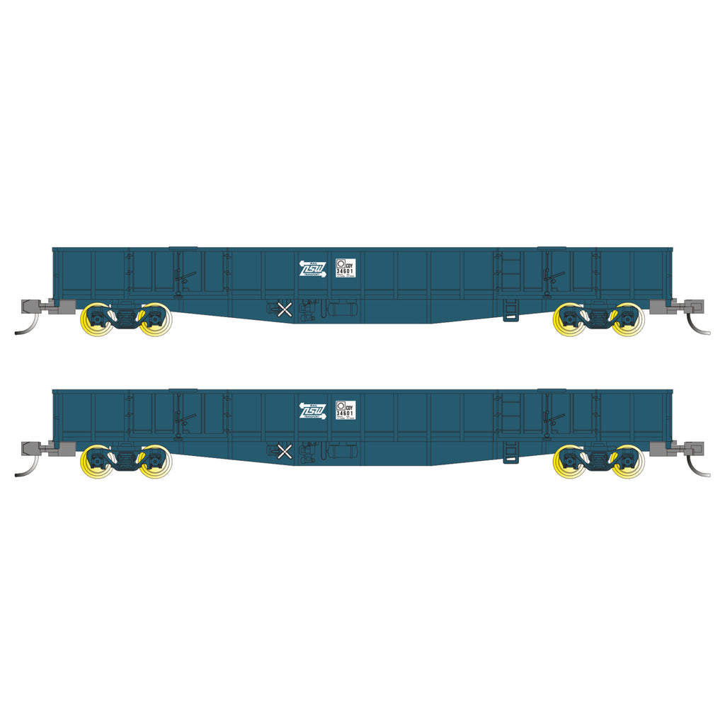 Buckambool Models 'N scale' -  CDY 01/13 - Open Wagon 2 pack – PTC Blue with NSWPTC Logo