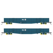 Buckambool Models 'N scale' -  CDY 01/13 - Open Wagon 2 pack – PTC Blue with NSWPTC Logo