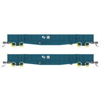 Buckambool Models 'N scale' - CDY 16/82 - Open Wagon 2 pack – PTC Blue with White L7