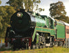 C3830 DC non sound Green (dark) Black Smokebox - Pre-PAID price $770.00 until the 16-04-26 after Delivery price is $825.00 NSWGR - Eureka Models Approx. delivery May - June 2026