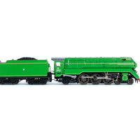 C38 PREORDER Gopher Models N Scale C38 Class Loco NSWGR 3802 (green)