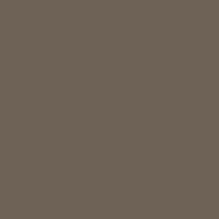 Outlaw Paints - VR Passenger Roof Brown