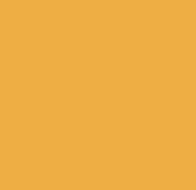 Model Paint Co - VR Wagon Yellow