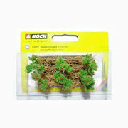 13215 Noch: Tomato Plants 6 plants