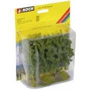 25170 Noch: Beech Trees