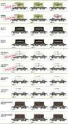 BMT SDS Models: NSWGR: BMT Milk Tank Car: DAIRY FARMERS MILK  on side of the tank Pack B