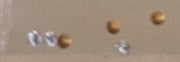 6 x Clear 3mm Jewel Marker Lights