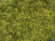 Noch: WILD GRASS XL - 12MM - MEADOW - 7110