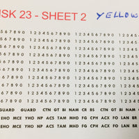 CHSK 23Y  Assorted codes & car number in Yellow CTN, GT, BI, NAM, CR, BS,  MFE, LHO, EHO, MCE, YHO, NP, ACS, TAM, MHO, MHD, FG, CPH, ACX, FO, LAN,  BR, FR, FS, BS, FO, BI, and set of numbers and the word GUARD THREE TIMES. OZZY PASSENGER CAR DECAL :