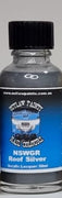 Outlaw Paints - NSWGR Roof Silver